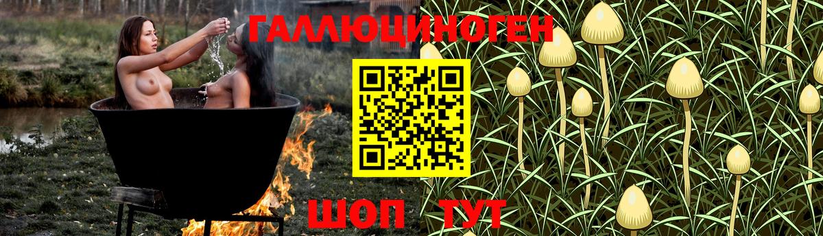 Вольск  Галлюциногенные грибы Cubensis  Галлюциногенные грибы Magic Shrooms  Вход с VPN 
